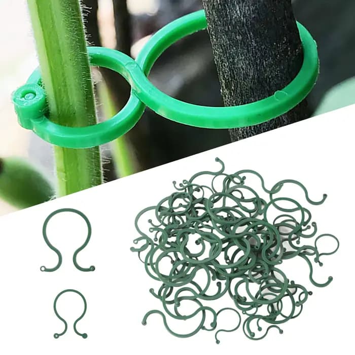 Clips de Cerclage de Vigne de Jardin en Plastique, Plante en Rotin, Fixation Murale Grimpante, Outil