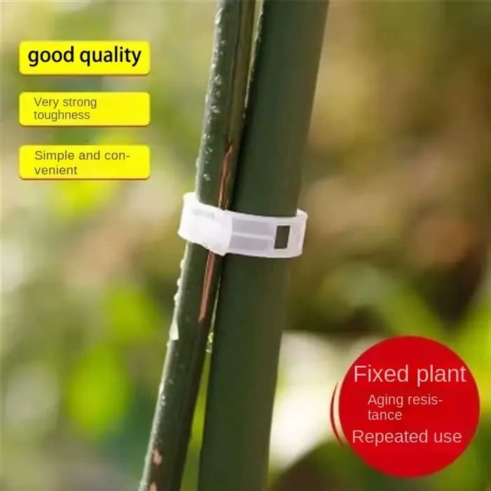 Clips de Support de plantes en plastique réutilisables