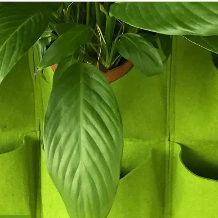 Sac de culture de plantes vertes, pochettes de grande taille, jardinière verticale de légumes de jar