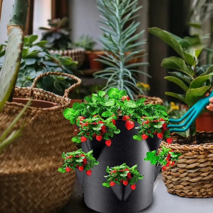Sac de plantation de fraises de 7 gallons avec 6 poches latérales, sacs de culture portables pour tomates, pots de plantation de fraises