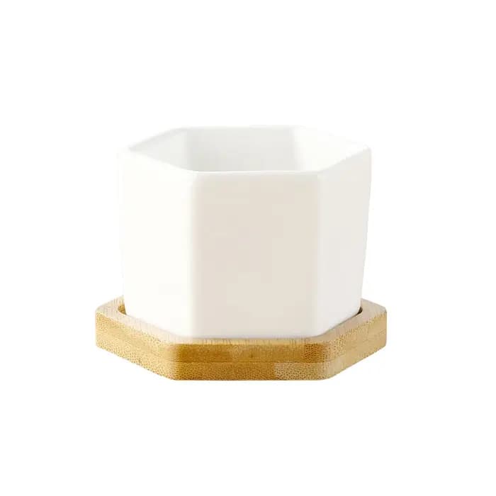 Pot de fleurs en céramique blanc hexagonal avec plateau