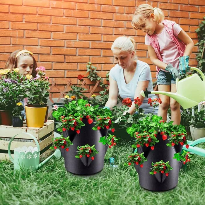 Pots et jardinières à fraises avec 6 poches latérales