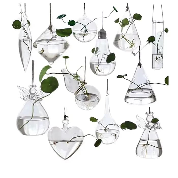 Support en verre transparent pour plantes à fleurs