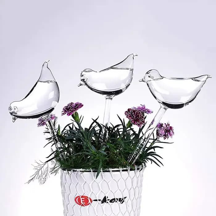 Globes d'arrosage automatique pour abreuvoir pour plantes, ampoules aquatiques claires souffées à la