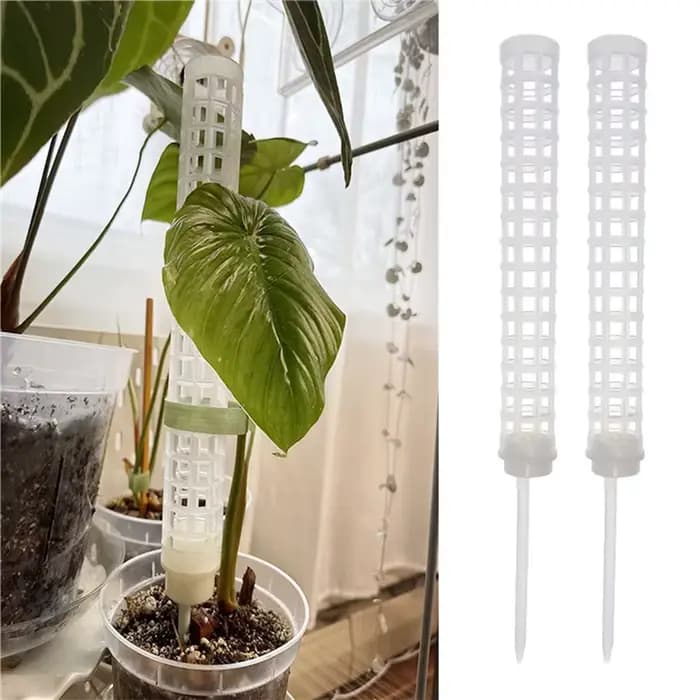 Bâton d'escalade pour plantes, Support pour plantes sphagnes, cadre en treillis, colonne de mousse d
