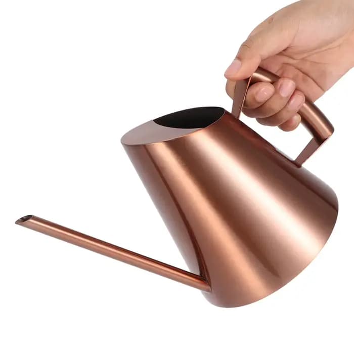 Arrosoir domestique en acier inoxydable