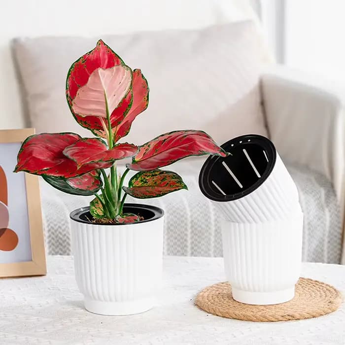 Pot de fleurs auto-arrosant à double couche pour hydroponie
