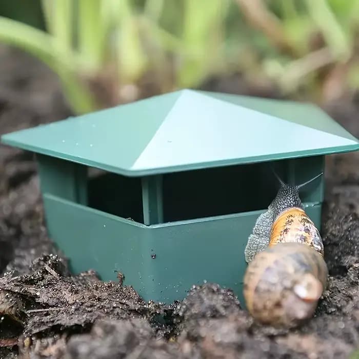 Boîte anti-limaces durable, piège en plastique épaissi anti-corrosion, sans électricité, pour légume