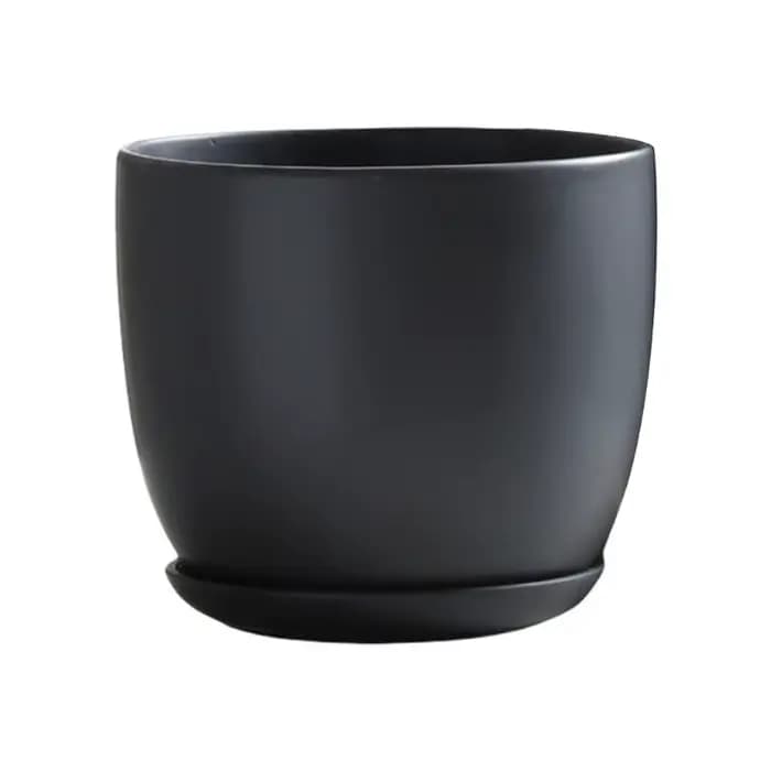 Pot fleur classique pour les amateurs plantes d'intérieur d'extérieur, ornement bureau