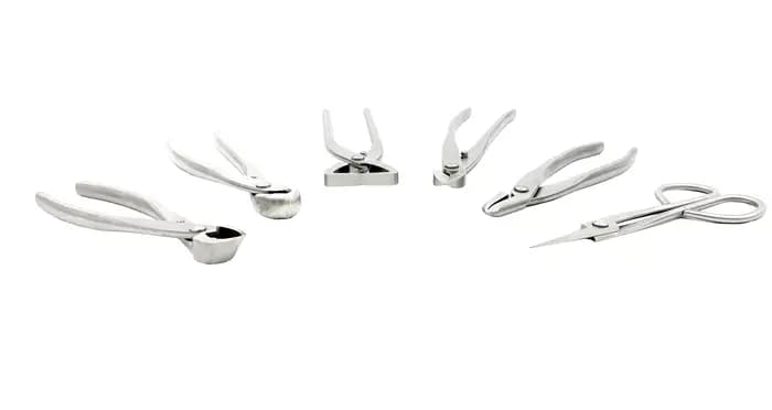 Ensemble d'outils pour bonsaï de bonne qualité (6 pièces)