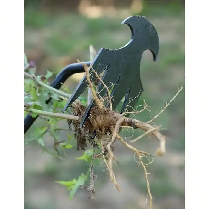 Désherbeur manuel multifonctionnel à 4 dents pour jardin