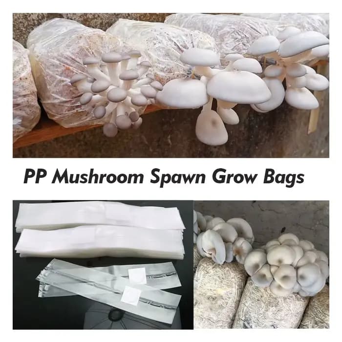 Sacs en polypropylène respirants à haute température, filtre 0.2um PP, salle de frai plus lente, sac