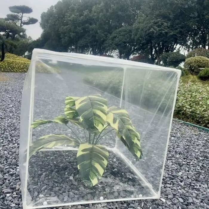 Serre antigel et anti-insectes pour plantes domestiques