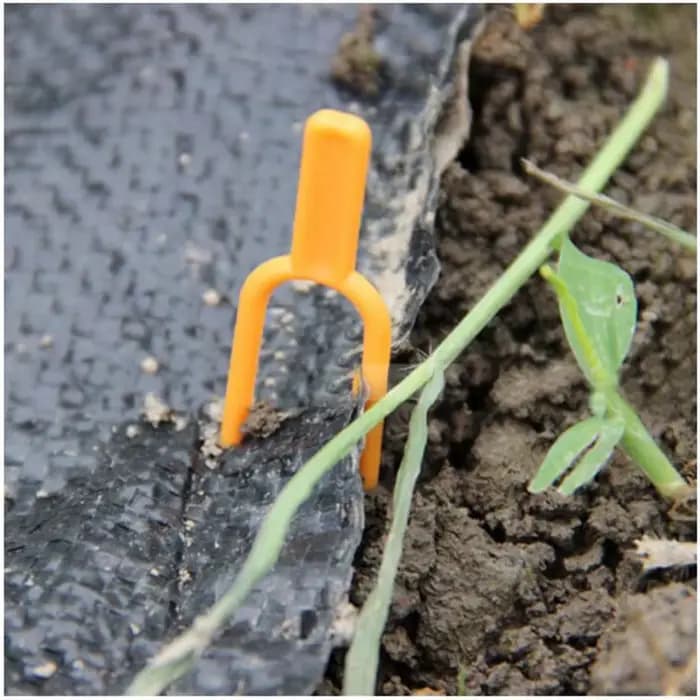 Support de plantes grimpantes en plastique, support de plantes, support de vignes, pinces pour fleur