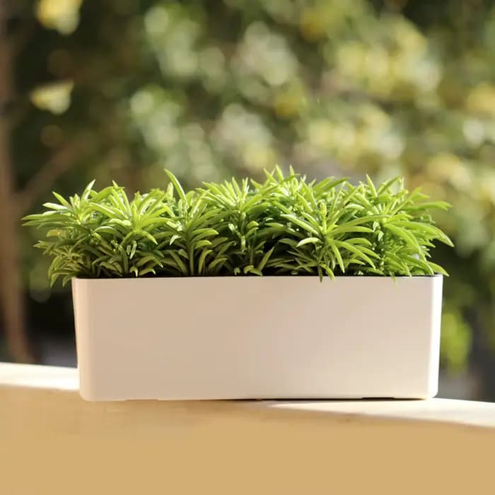 Pot de fleur à arrosage automatique avec indicateur de niveau d'eau