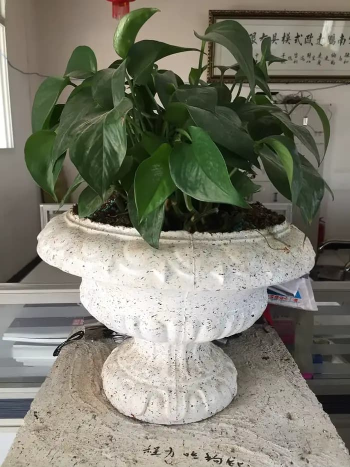 Jardinière décorative en plastique pour jardin extérieur, moule pour pot de fleurs, grande taille, 60cm