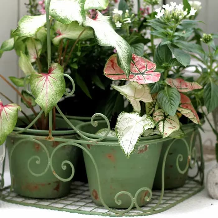 Ins rétro jardin fleur ferronnerie faire vieille plante bassin multi grille conception succulente conteneur pour balcon cour bonsaï Pot
