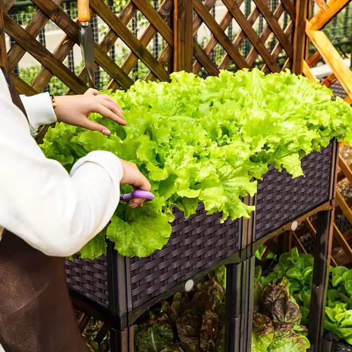 Bac à plantes surélevé avec pieds et trous de drainage