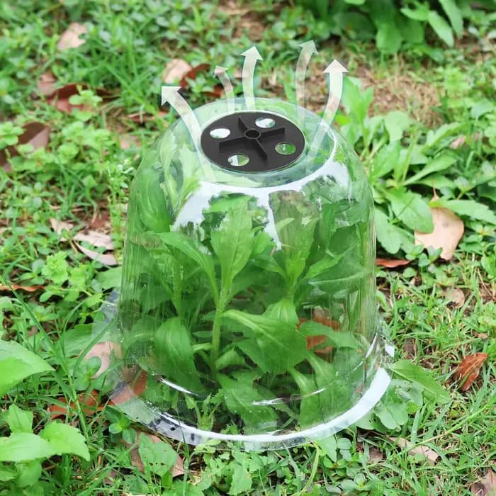 Cloche isolante réutilisable pour plantes de jardin