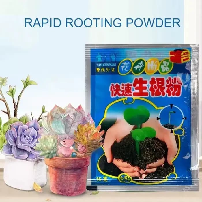 Poudre d'enracinement rapide pour plantes, 5 pièces, Agent d'enracinement rapide, Hormone, croissanc