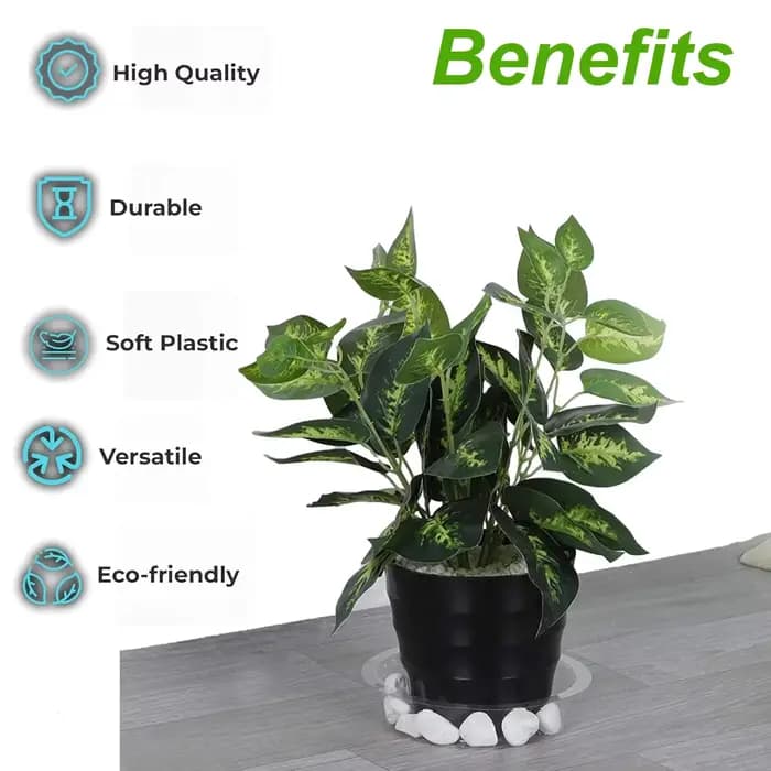 Plateaux d'égouttement de plantes en plastique, ronds et transparents, robustes, pour intérieur et e