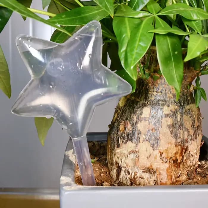 Ampoules d'arrosage automatique pour plantes, dispositif d'arrosage automatique en forme d'étoile/oi