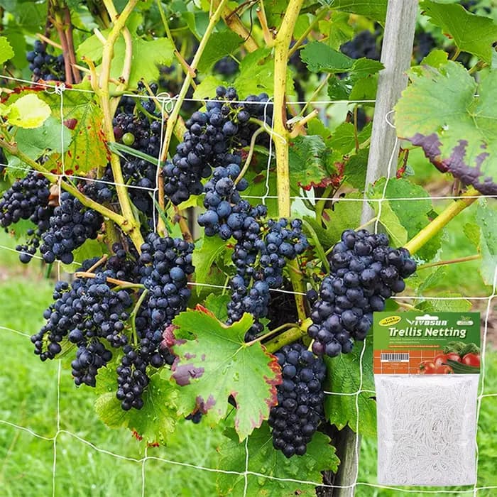 Filet d'escalade de jardin, filet en treillis, Support de plantes robuste pour fleurs, légumes, vigne, verger, outils de jardinage