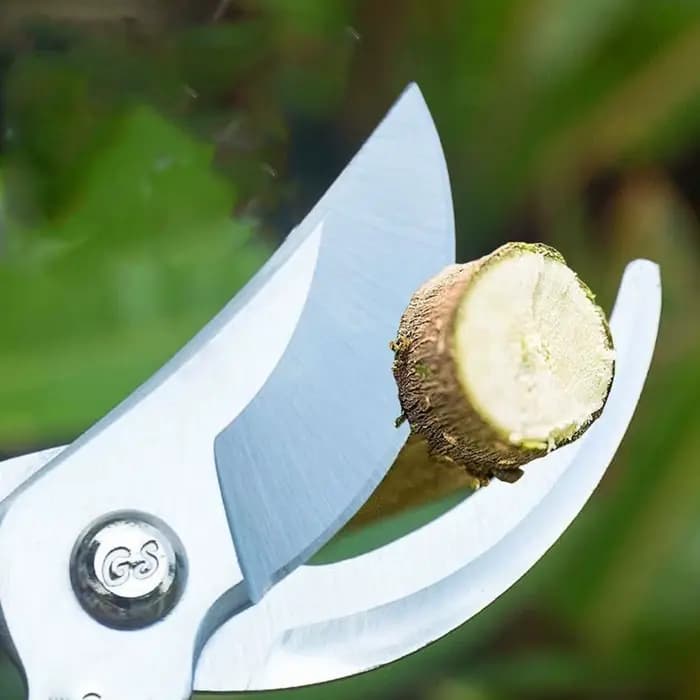 Ciseaux à lame de sécateur de jardin