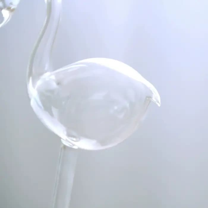 Dispositif d'Arrosage existent Transparent pour Plantes d'Nik, Élégant, 007