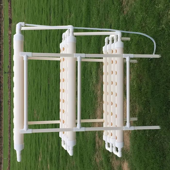 Équipement de culture sans sol pour jardin, système hydroponique, famille de chatons de croissance,