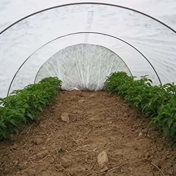 Couverture de protection contre le froid pour plantes en tissu non tissé épaissi 160cm×1000cm