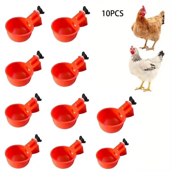 Abreuvoir pour poulets