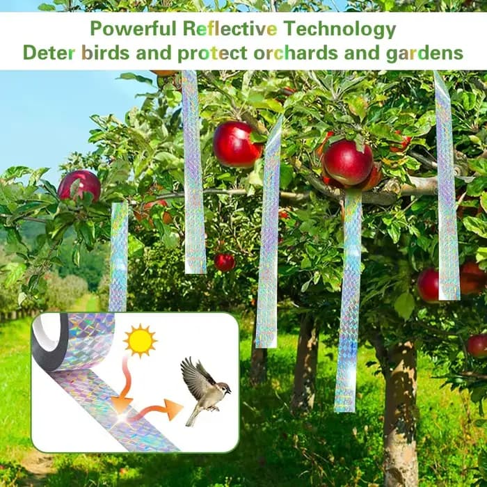 Ruban Réfléchissant Anti-Oiseaux, Bande Laser Anti-Oiseaux Double Face, Rubans Répulsifs pour Jardin