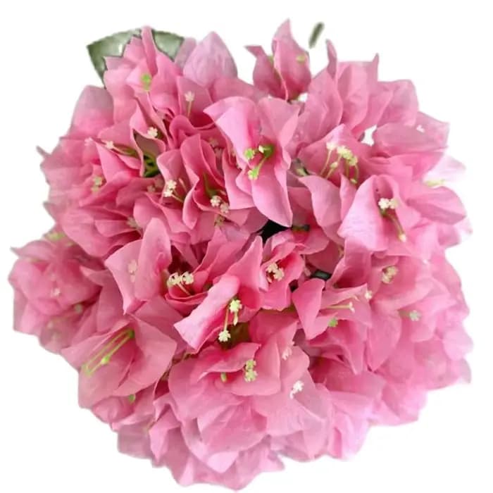Bougainvillea artificielle Bouqut fleur 5 fourchettes
