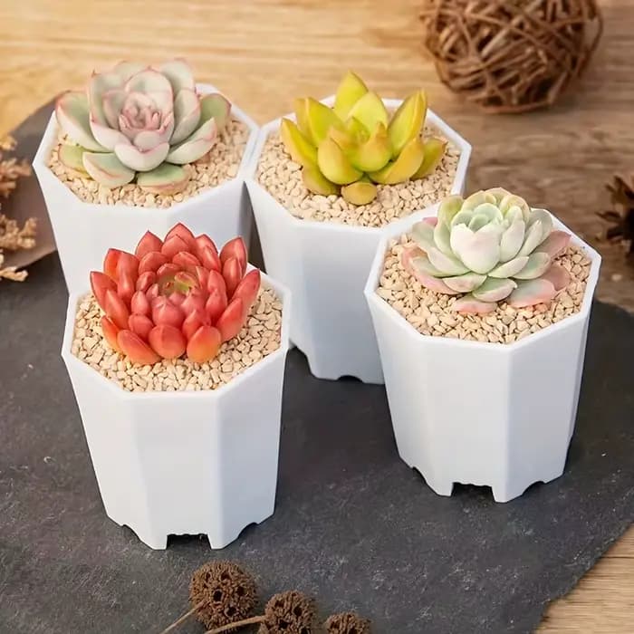 2/4//10 pièces de Pots de fleurs octogonaux blancs sont très adaptés aux cactus succulents et à la croissance des plantes intérieures et extérieures