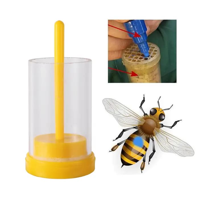 Marqueur d'Alimentation de Bouteille d'Apiculture, Bâton en Bois, Éponge, Equation de Reine, Attrape