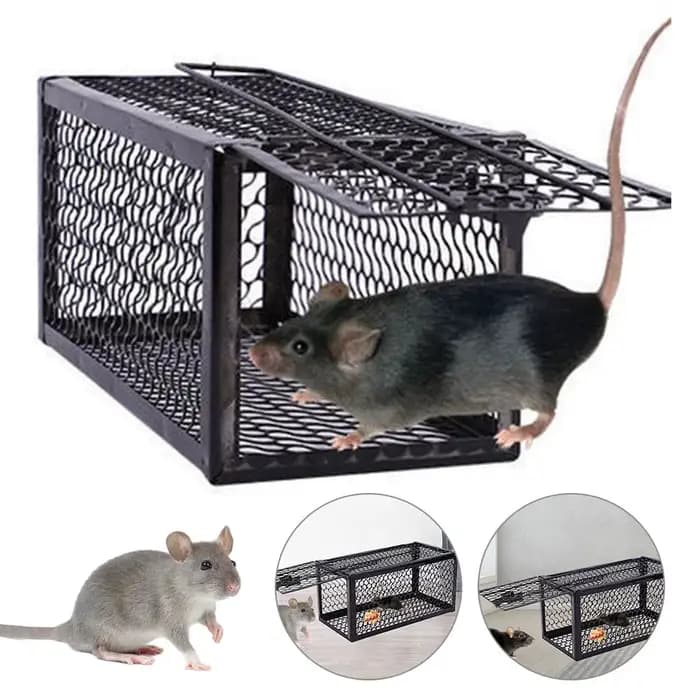 Piège à souris autobloquant, filet en fer ferme et sûr, collecteur de souris domestique en métal réu