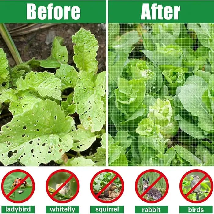 Kits de cerceaux de jardin pour tunnel en filet, cerceaux de jardin, cadre de serre, arc de tunnel f