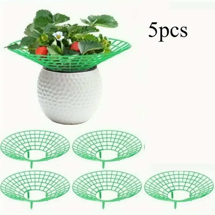 Supports pour plantes à fraises avec trois pieds robustes