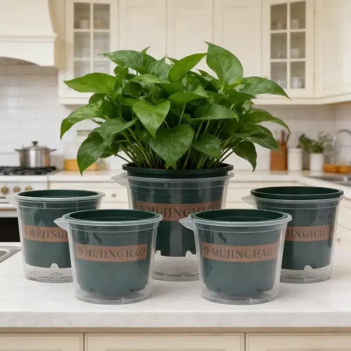 Pots de plantes verts transparents avec trou de drainage