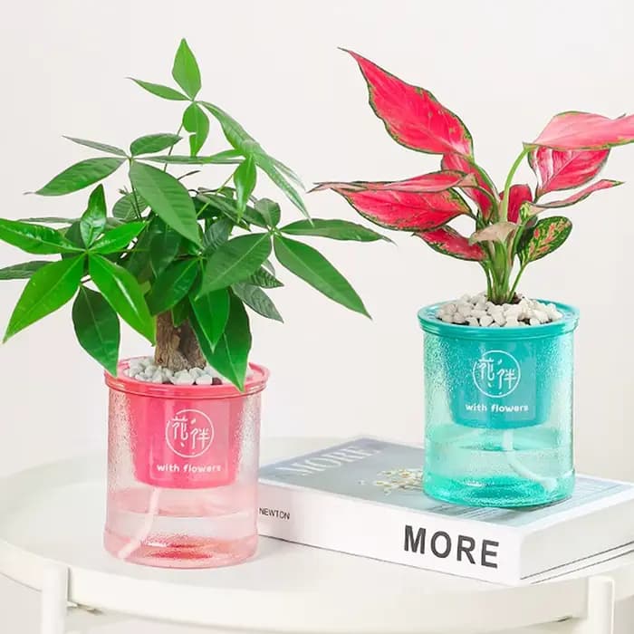 Pot de fleurs hydroponique Transparent rond en plastique