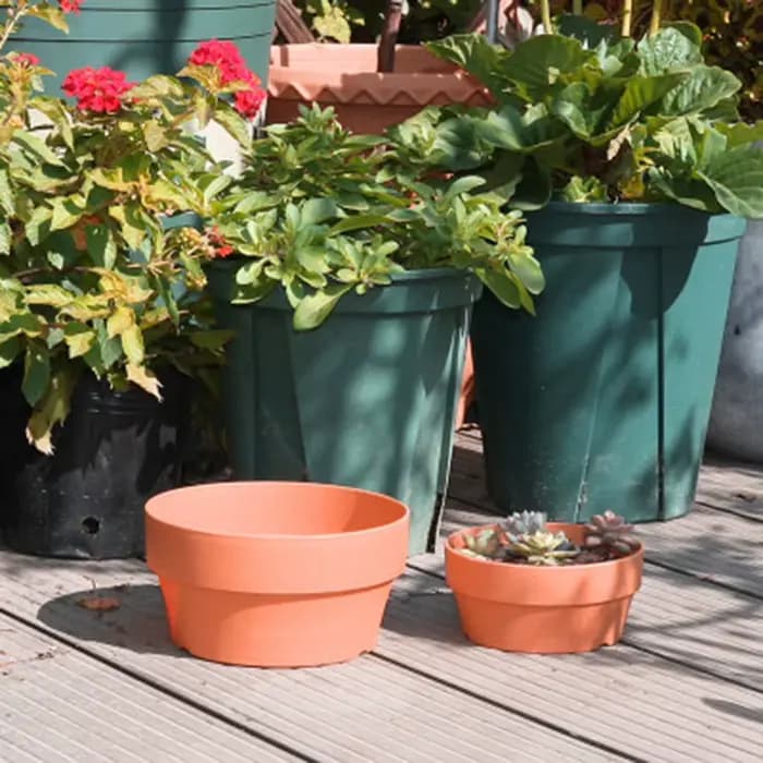Mini pots de fleurs succulentes, Mini jardinières, décoration de bureau, accessoires de jardin et de