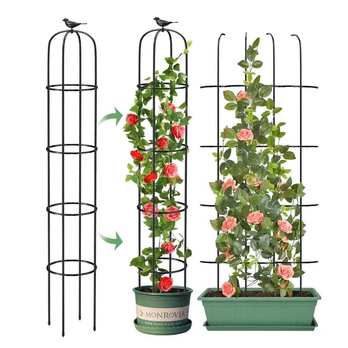 Support de grimpement en métal antirouille pour plantes en pot