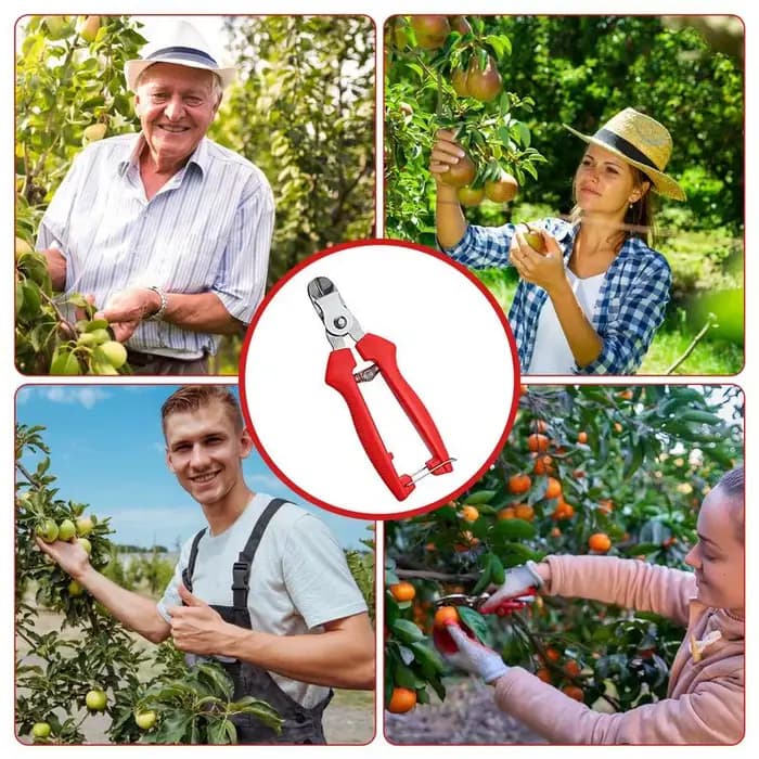 Ciseaux de jardin ergonomiques pour arbres fruitiers