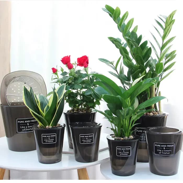 Pot de Fleur Hydroponique Créatif, Super Absorbant, pour assurer la Croissance Saine des Plantes Ver