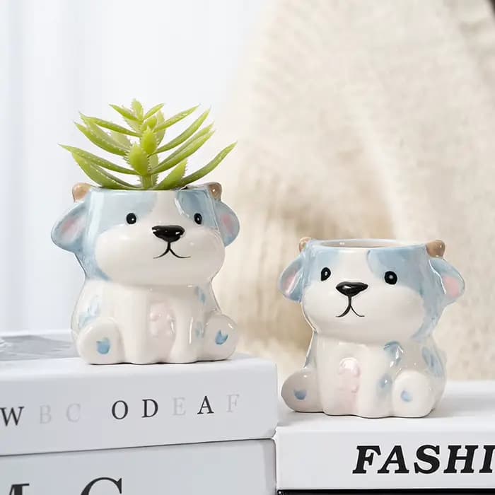 Pot de fleurs charnu mignon de dessin animé Amazon
