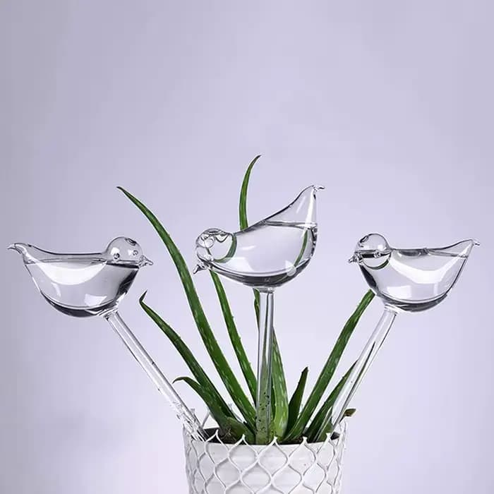 Globes d'arrosage automatique pour abreuvoir pour plantes, ampoules aquatiques claires souffées à la
