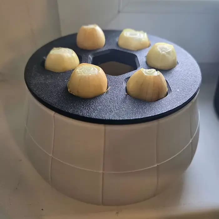 Pot de Reproduction d'Oignons Verts Imprimé en 3D – Station de Propagation Hydroponique pour Jardinage Intérieur et Cuisine – Cadeau Idéal
