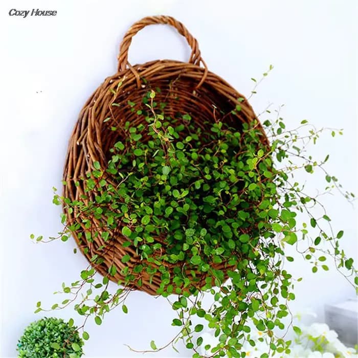 User inière de Fleurs Murale, Support de Plantes d'Nik, Pot de Vigne de Jardin, 4 Couleurs, 1 Pièce