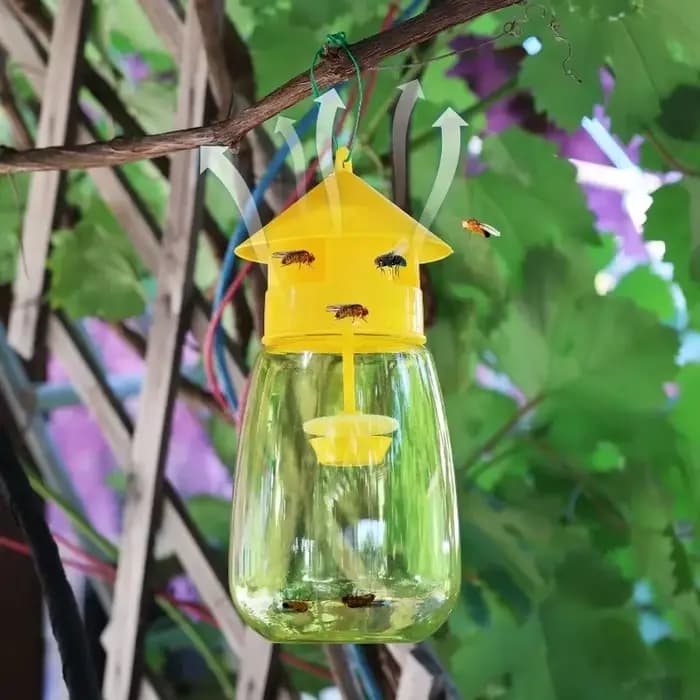 5/1x piège à mouches de fruits en plastique tueur piège à drosophile Anti mouche tueur de fruits rec
